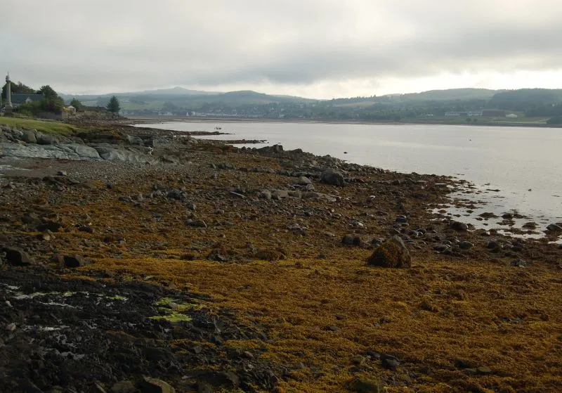 Loch Gilp from the shore of Ardrishaig